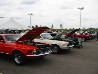 IMG_1239.jpg