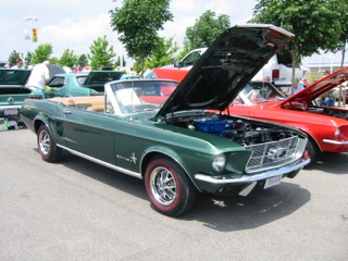 IMG_1885.jpg