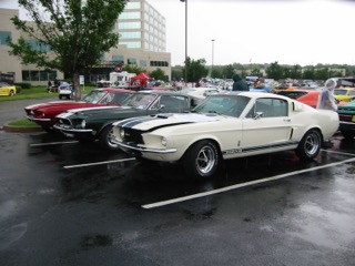 IMG_2040.jpg