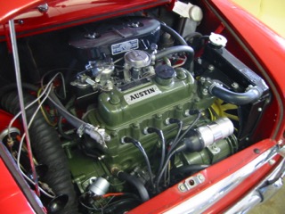 IMG_3533.jpg