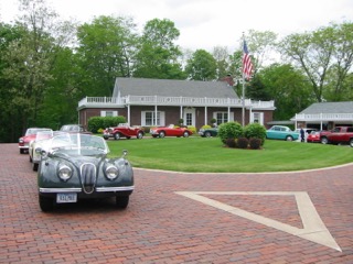 IMG_3540.jpg