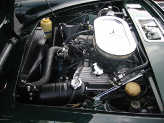 IMG_3820.jpg