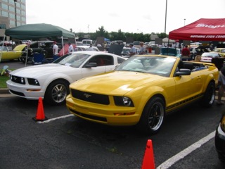 IMG_3843.jpg