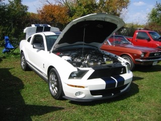 IMG_5864.jpg