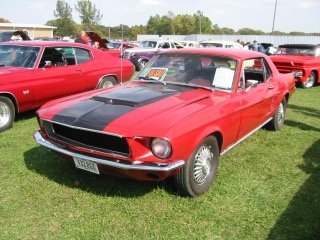 IMG_5877.jpg
