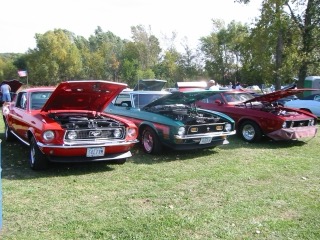 IMG_5923.jpg