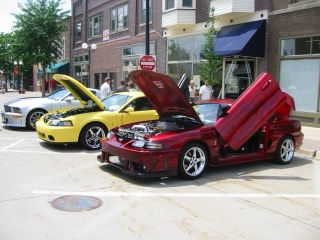 IMG_5328.jpg