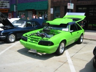 IMG_5355.jpg