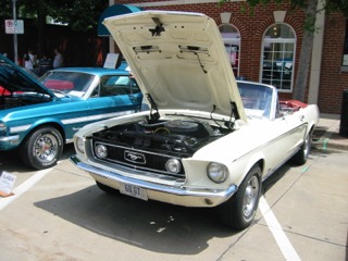 IMG_6491.JPG