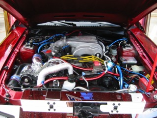 IMG_6526.JPG