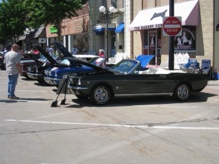 IMG_0834.jpg