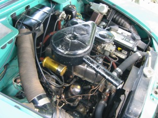 IMG_3995.jpg
