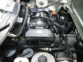 IMG_4475.jpg