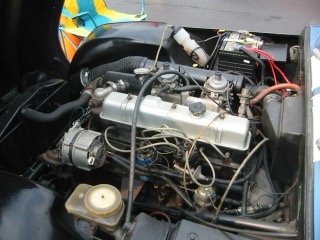 IMG_4483.jpg