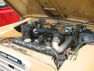 IMG_4531.jpg