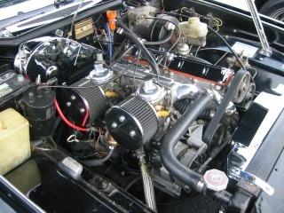 IMG_4600.jpg