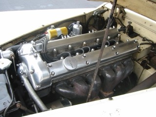 IMG_4614.jpg