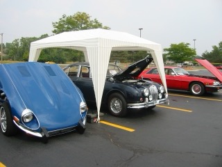 IMG_4621.jpg