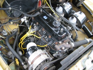 IMG_4332.jpg