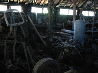 IMG_5168.jpg