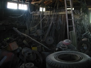 IMG_5170.jpg
