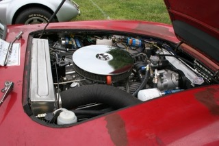 IMG_5950.jpg