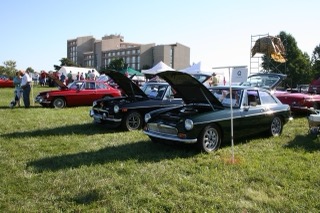 IMG_5976.jpg