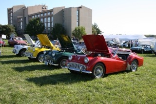 IMG_5992.jpg