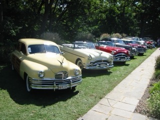 IMG_5800.jpg