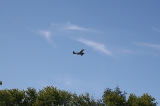 IMG_6761.jpg