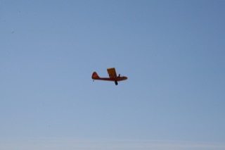 IMG_6813.jpg