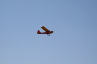 IMG_6835.jpg