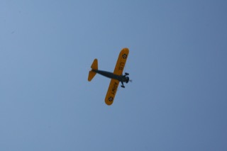 IMG_6837.jpg