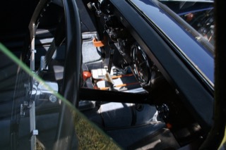 IMG_6856.jpg