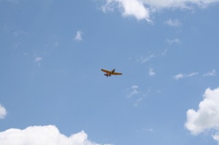 IMG_6979.jpg