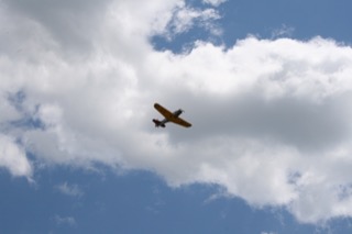 IMG_6980.jpg