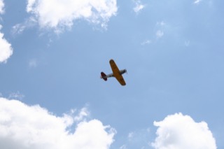 IMG_6981.jpg