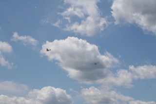 IMG_6985.jpg