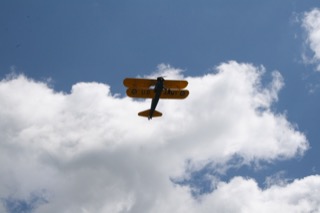 IMG_6989.jpg