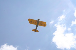 IMG_6990.jpg