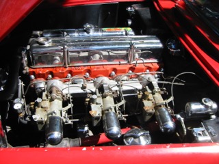 IMG_6745.JPG