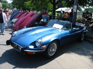 IMG_6935.jpg