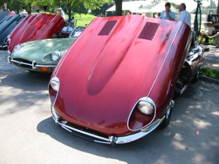 IMG_6938.jpg