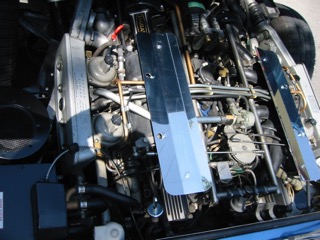 IMG_6963.jpg