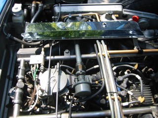 IMG_6967.jpg