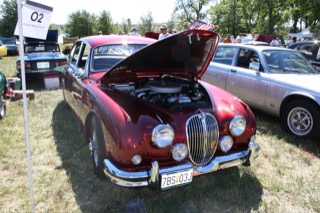 IMG_7228.jpg