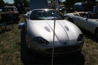 IMG_7232.jpg