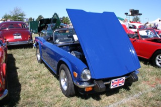 IMG_7238.jpg