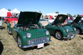 IMG_7247.jpg