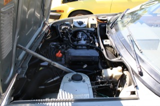 IMG_7270.jpg